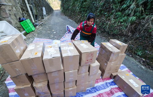 浙江淳安 傳統農產品走俏年貨市場，山珍好味帶動農副產品銷售熱潮