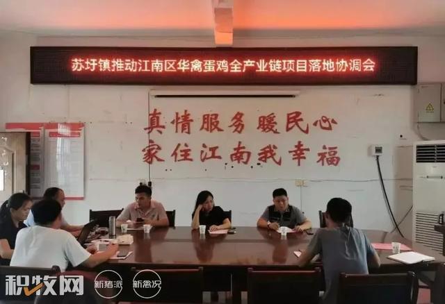 廣西蛋雞養殖產業再添巨擘 可存欄200萬余羽項目開工，推動農副產品銷售新格局