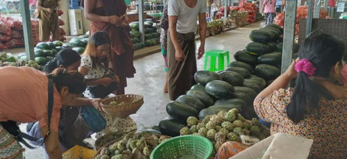 緬甸糧食安全拉響警報(bào) 基礎(chǔ)食品價(jià)格飆升，初級(jí)農(nóng)產(chǎn)品收購體系面臨挑戰(zhàn)