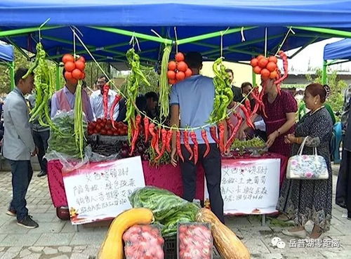 農(nóng)副產(chǎn)品促銷會(huì) 激發(fā)市場(chǎng)活力，助力脫貧攻堅(jiān)與初級(jí)農(nóng)產(chǎn)品收購